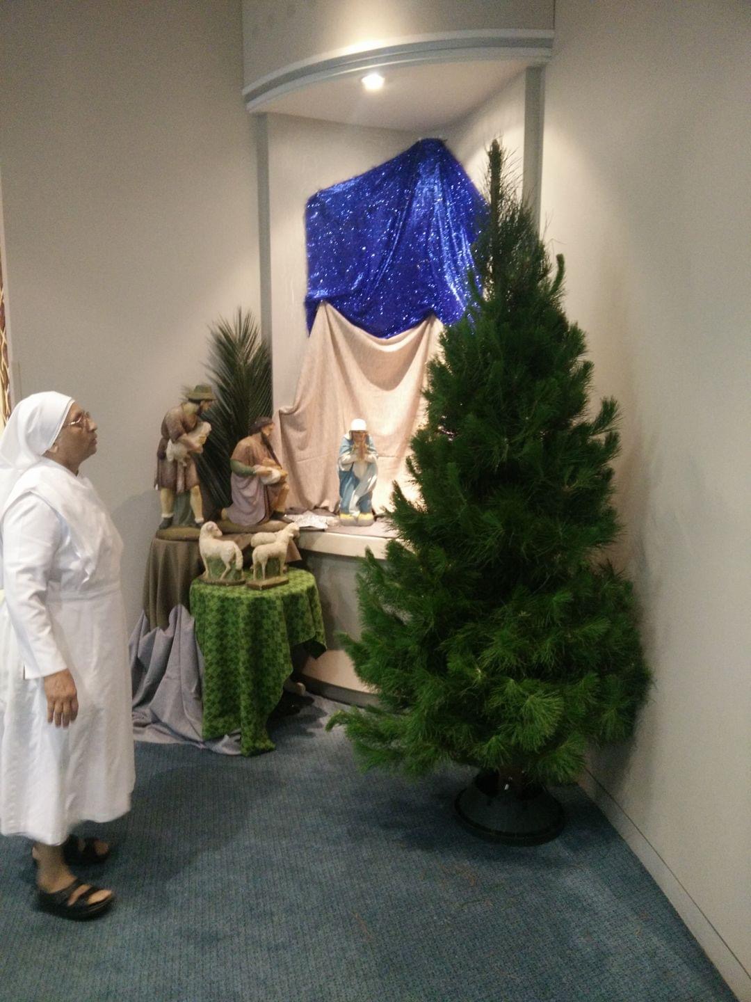 A real Christmas tree displayed indoors beside festive decorations