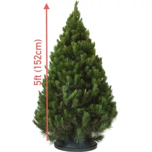 5 Ft (152 cm) Christmas Tree