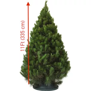 11 Ft (335 cm) Christmas Tree