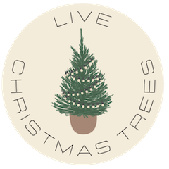 Mina's Live Christmas Trees