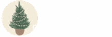 Mina's Live Christmas Trees