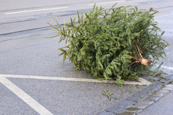 Christmas Tree Curbside Pickup